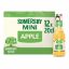 Imagem de SIDRA SOMERSBY 12x20CL