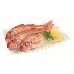 Imagem de SALMONETE LEGITIMO F02