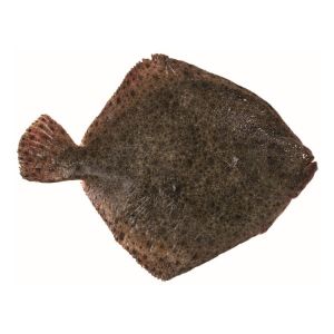 Imagem de PREGADO 800/1000 RCH