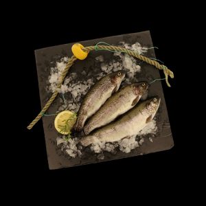 Imagem de TRUTA PEQUENA RCH