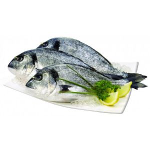 Imagem de DOURADA +800 GR RCH