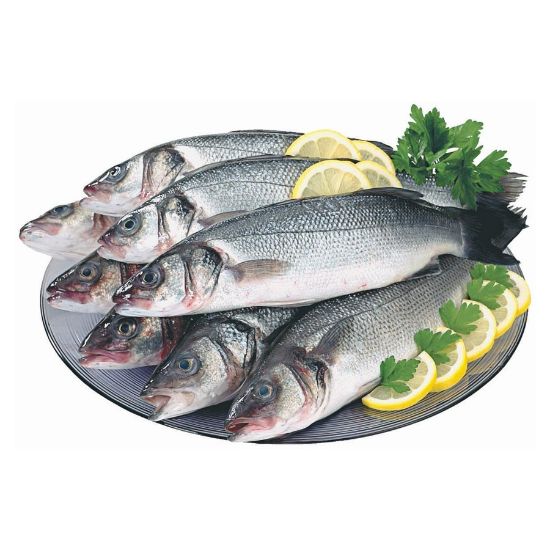 Imagem de ROBALO 1000/1400 RCH