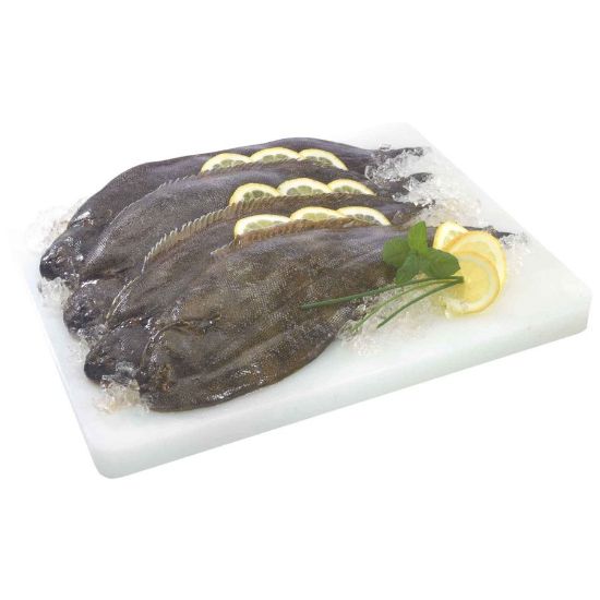 Imagem de LINGUADO AQUACULTURA 400/600 RCH