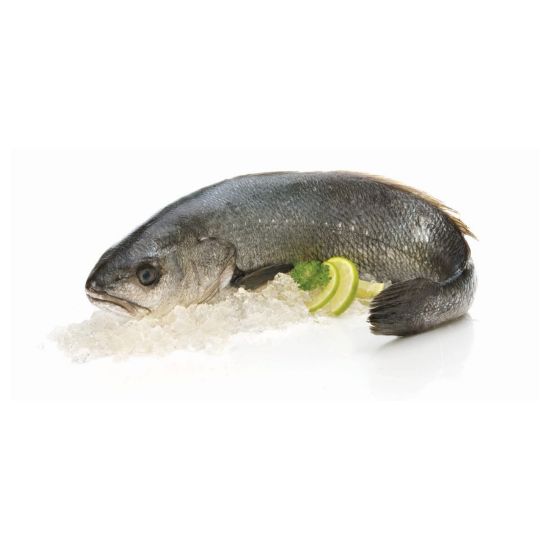 Imagem de CORVINA 4+