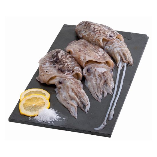 Imagem de CHOCO FRESCO PEQ RCH