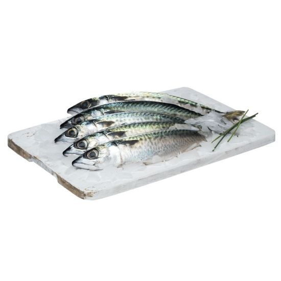 Imagem de CAVALA CX 6 KG CF2