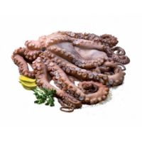 Imagem de POLVO FRESCO KG F03