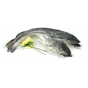 Imagem de PESCADA FRESCA KG
