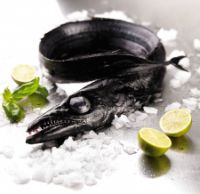 Imagem de PEIXE ESPADA PRETO RCH KG F03