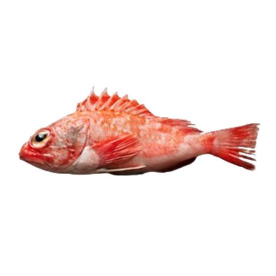 Imagem de CANTARIL CX DE 3 KG F02