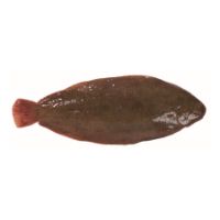 Imagem de LINGUADO MEDIO RCH 300/500 GR CX 3KG F02