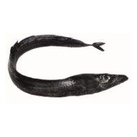 Imagem de PEIXE ESPADA PRETO GRANDE CX 5UN RCH P05