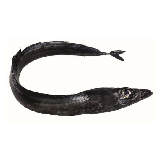 Imagem de PEIXE ESPADA PRETO GRANDE CX 5UN RCH P05