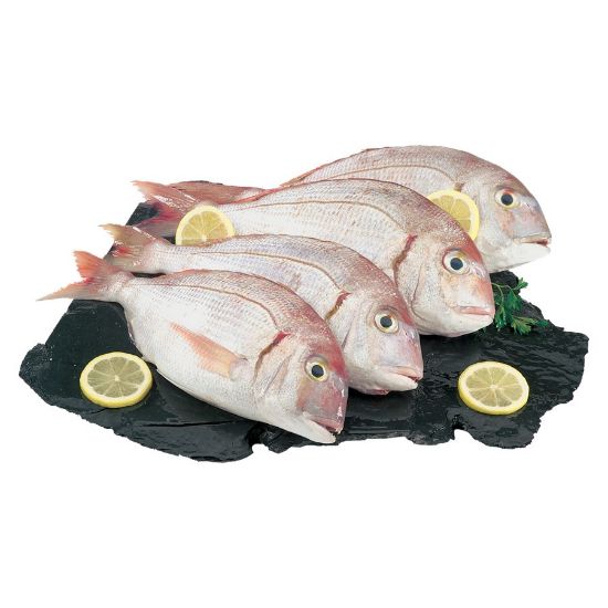 Imagem de PARGO 200/600 F03