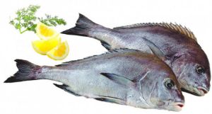 Imagem de PARGO MULATO F03