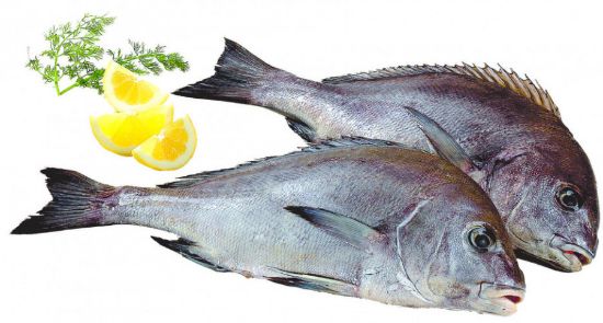 Imagem de PARGO MULATO F03