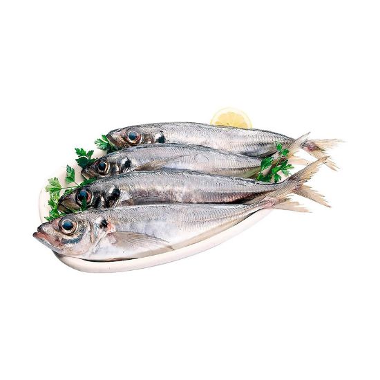 Imagem de CARAPAU FRESCO RCH F03