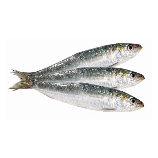 Imagem de SARDINHA FD