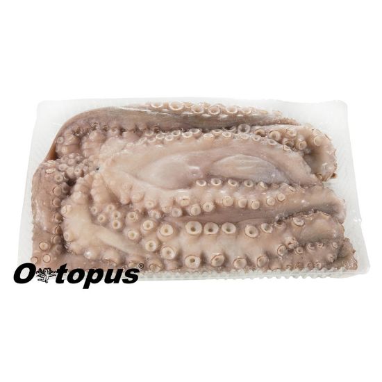 Imagem de Polvo Marrocos +6 Kgs Cong Kg