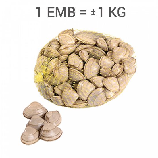 Imagem de AMEIJOA BRANCA KG  RCH