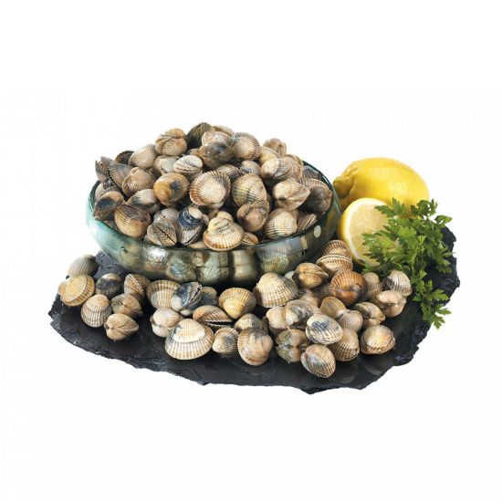 Imagem de BERBIGÃO - LEGÍTIMO RCH