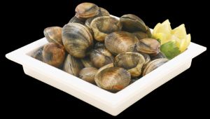 Imagem de AMEIJOA JAPONESA  RCH