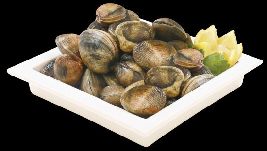 Imagem de AMEIJOA JAPONESA  RCH