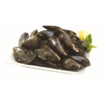 Imagem de MEXILHAO RCH RCH