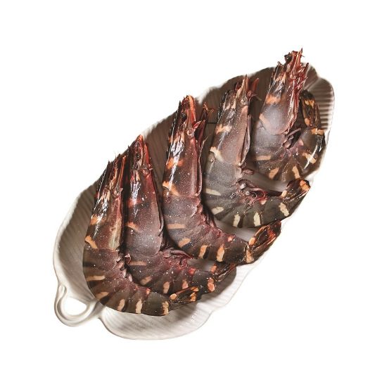 Imagem de Camarão Selvagem Nigéria 6/8 Jumbo Cong Kg