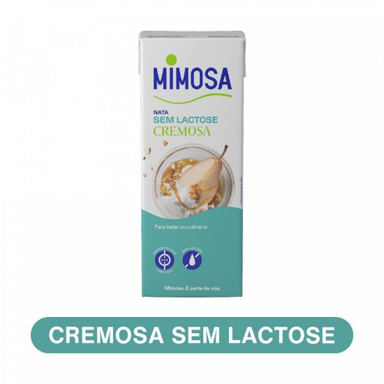 Imagem de NATAS UHT MIMOSA CREMOSA S/LACTOSE 200ML