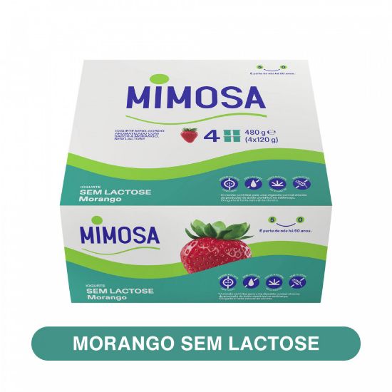 Imagem de IOGURTE SEM LACT MIMOSA MORANGO 120G