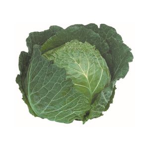 Imagem de Couve Lombarda com Folhas