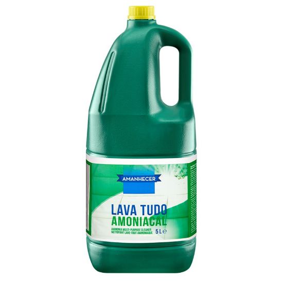 Imagem de L TUDO AMANH AMONIACAL 5LT