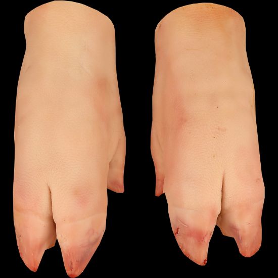 Imagem de PORCO UNHAS