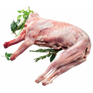 Imagem de CABRITO CONG KG RCH