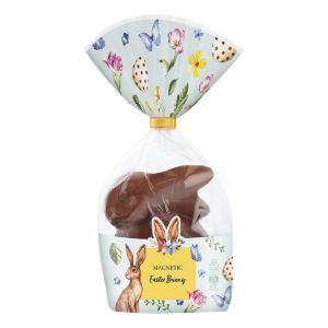 Imagem de COELHO PASCOA CH LEITE&BCO MAGNETIC 100G