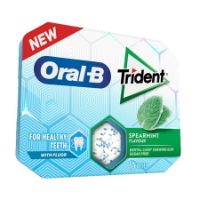 Imagem de TRIDENT ORAL B SPEARMINT 17G