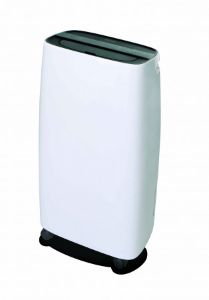 Imagem de PHALAENOPSIS 2 HASTES RCH