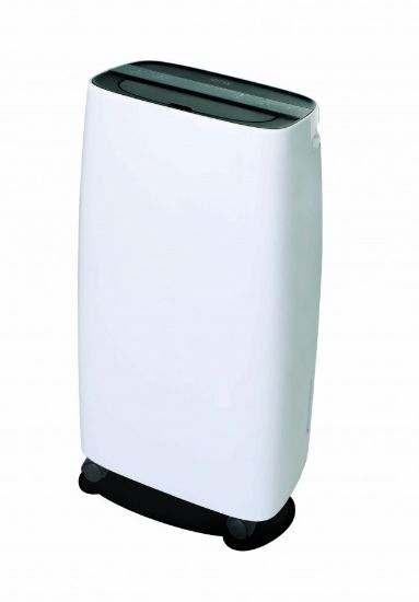 Imagem de PHALAENOPSIS 2 HASTES RCH