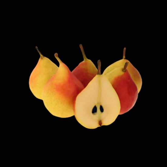 Imagem de PÊRA MORETINNI 60+ RCH