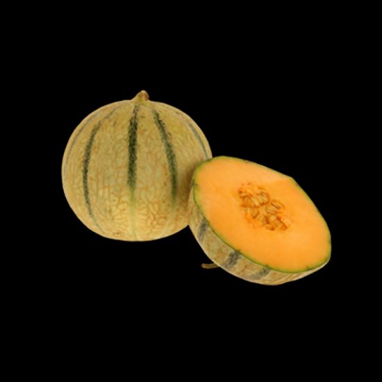 Imagem de Meloa Cantaloupe