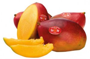 Imagem de Manga Avião Calibre 7/9 Sweet Fruits