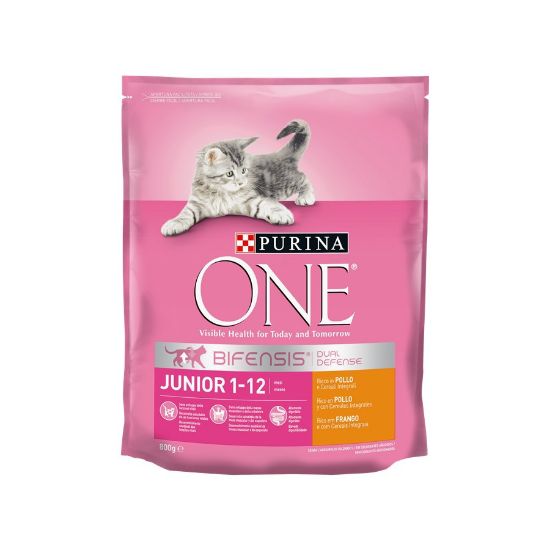 Imagem de GATO SECA ONE JÚNIOR FRANGO ARROZ 800G