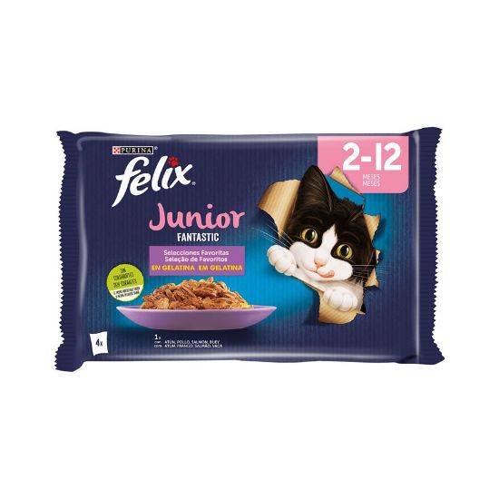 Imagem de GATO HÚMIDA FELIX FANTASTIC JÚNIOR 4X85G