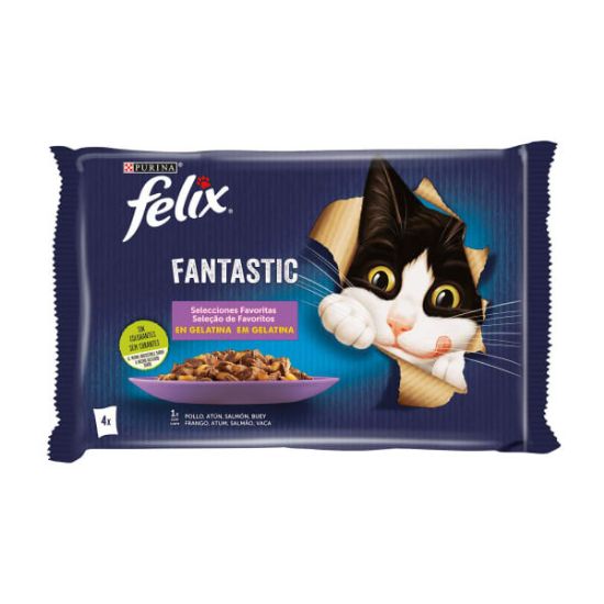 Imagem de GT HÚMIDA FELIX FANTASTIC FAVORITO 4X85G