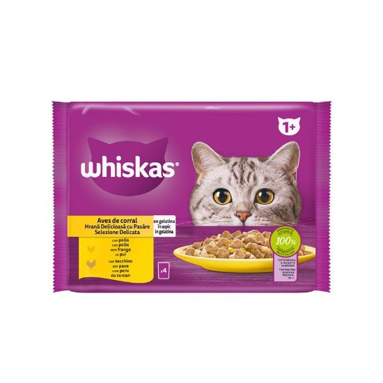 Imagem de GATO HÚMIDA WHISKAS AVES 4X85G