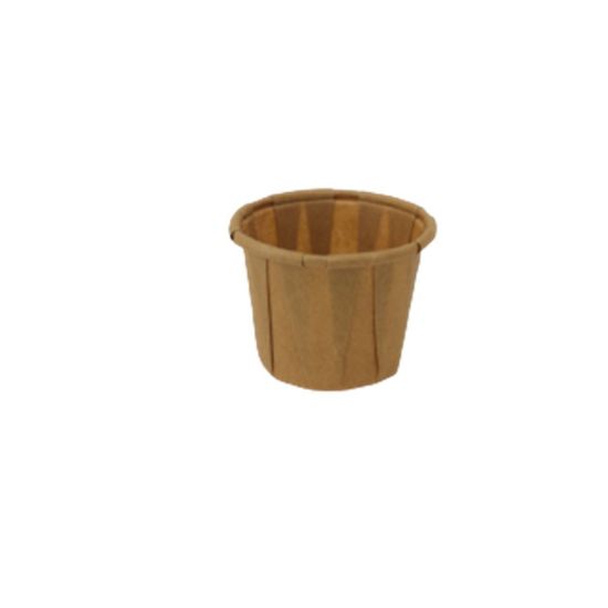 Imagem de MOLHEIRA PLI KRAFT 22ML 250UN