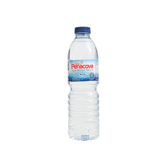 Imagem de ÁGUA MINERAL CALDAS DE PENACOVA PET 50CL