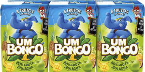Imagem de BOX SUMO UM BONGO 8 FRUTOS PAK6X20CL