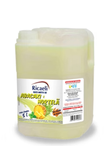 Imagem de SUMO ABACAXI/HORTELÃ 5L RCH